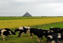 Красавица, что манит близостью и дразнит недоступностью