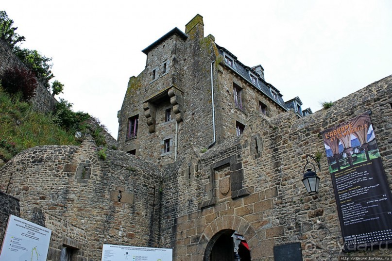 Красавица, что манит близостью и дразнит недоступностью