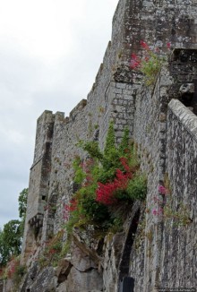 Красавица, что манит близостью и дразнит недоступностью