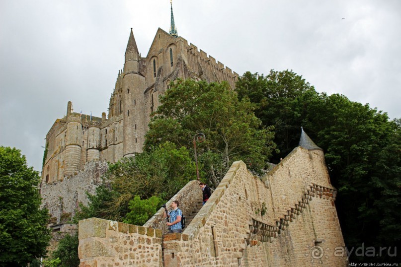 Красавица, что манит близостью и дразнит недоступностью