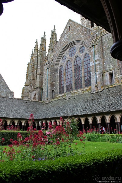 Красавица, что манит близостью и дразнит недоступностью