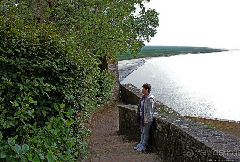 Красавица, что манит близостью и дразнит недоступностью