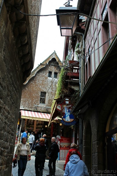 Красавица, что манит близостью и дразнит недоступностью