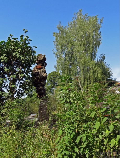 Республика Ужупис — Не побеждай Не защищайся Не сдавайся