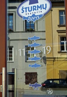 Республика Ужупис — Не побеждай Не защищайся Не сдавайся