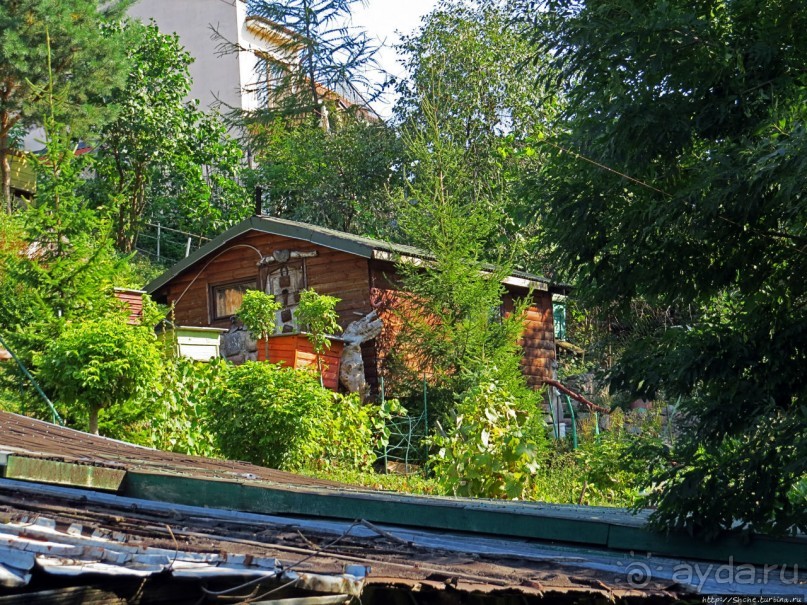 Республика Ужупис — Не побеждай Не защищайся Не сдавайся