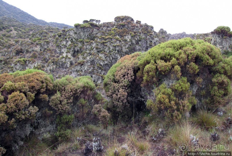 Little Meru — первая вершина