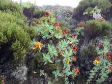 Little Meru — первая вершина