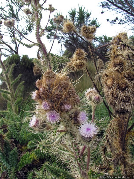 Little Meru — первая вершина