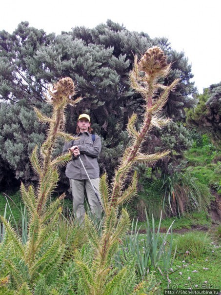 Little Meru — первая вершина