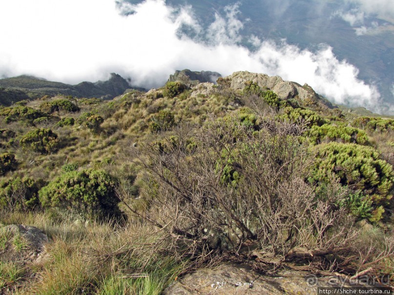 Little Meru — первая вершина