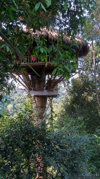 Страна Гиббония. Домики на деревьях