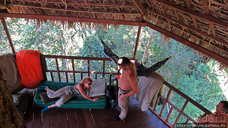 Страна Гиббония. Домики на деревьях