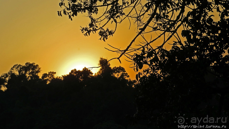 Страна Гиббония. Домики на деревьях