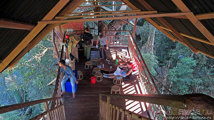 Страна Гиббония. Домики на деревьях