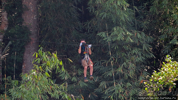 Страна Гиббония. Домики на деревьях