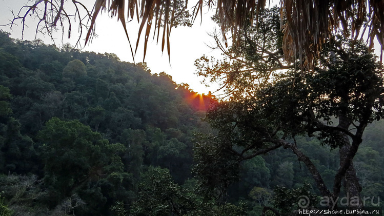 Страна Гиббония. Домики на деревьях