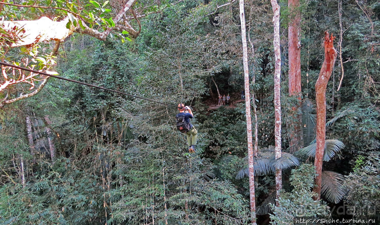 Страна Гиббония. Домики на деревьях