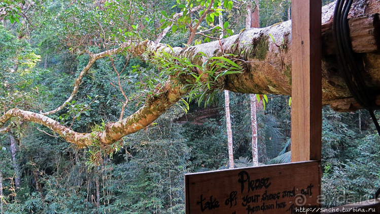 Страна Гиббония. Домики на деревьях
