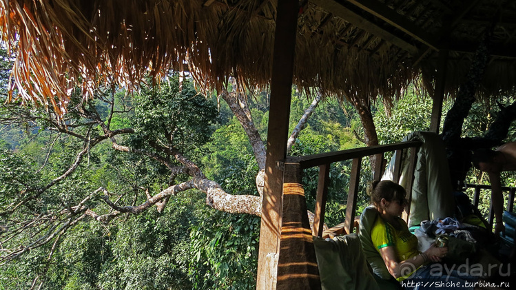 Страна Гиббония. Домики на деревьях