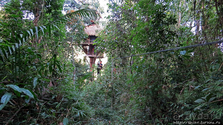 Страна Гиббония. Домики на деревьях