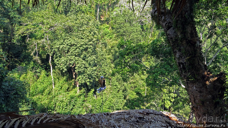 Страна Гиббония. Домики на деревьях