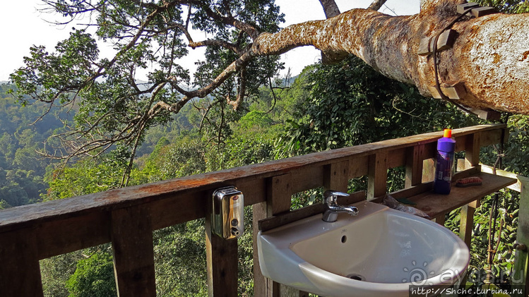 Страна Гиббония. Домики на деревьях