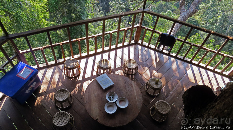 Страна Гиббония. Домики на деревьях