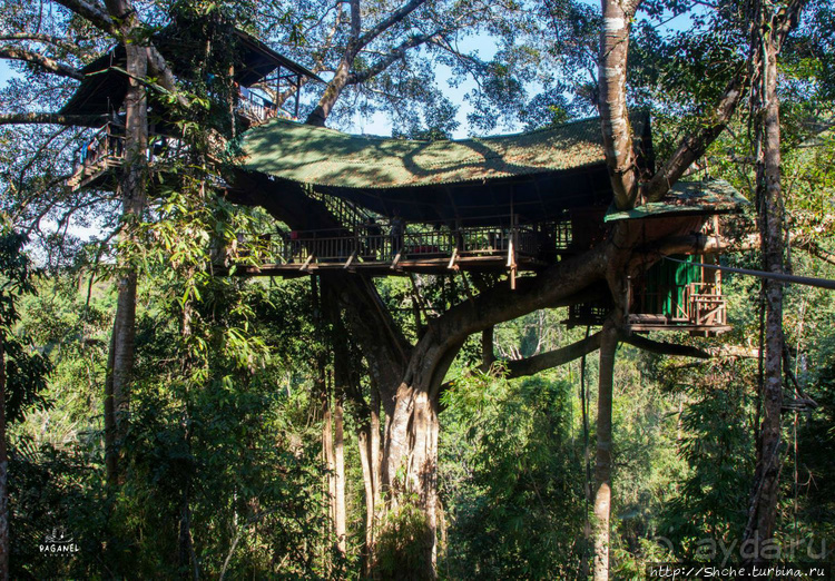 Страна Гиббония. Домики на деревьях