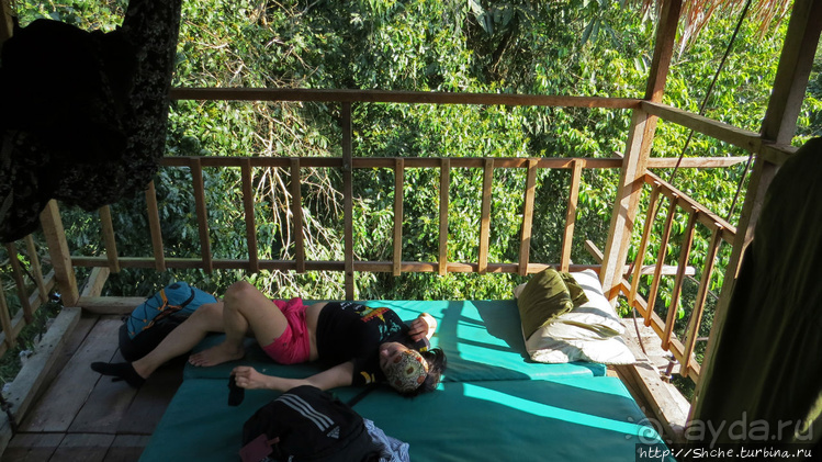 Страна Гиббония. Домики на деревьях