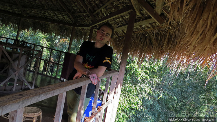 Страна Гиббония. Домики на деревьях