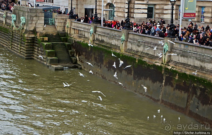 " Темза, сэр!" — лондонский вариант. Меж двух мостов