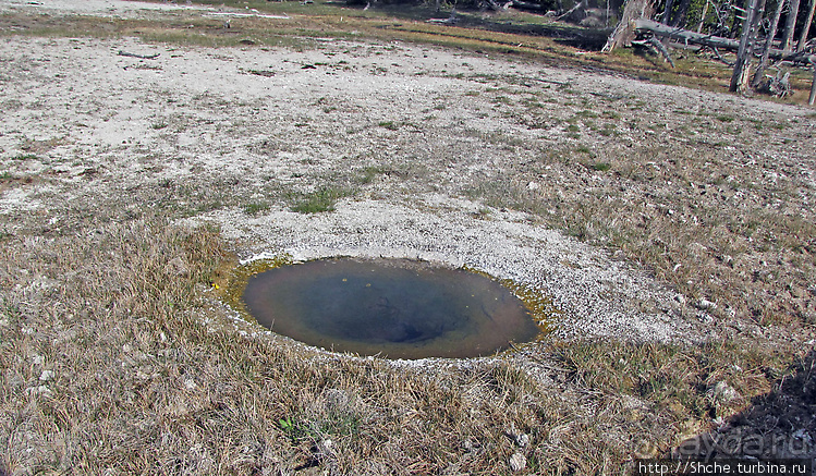 Гейзер "Старый служака" (Old faithful) и чудеса вокруг