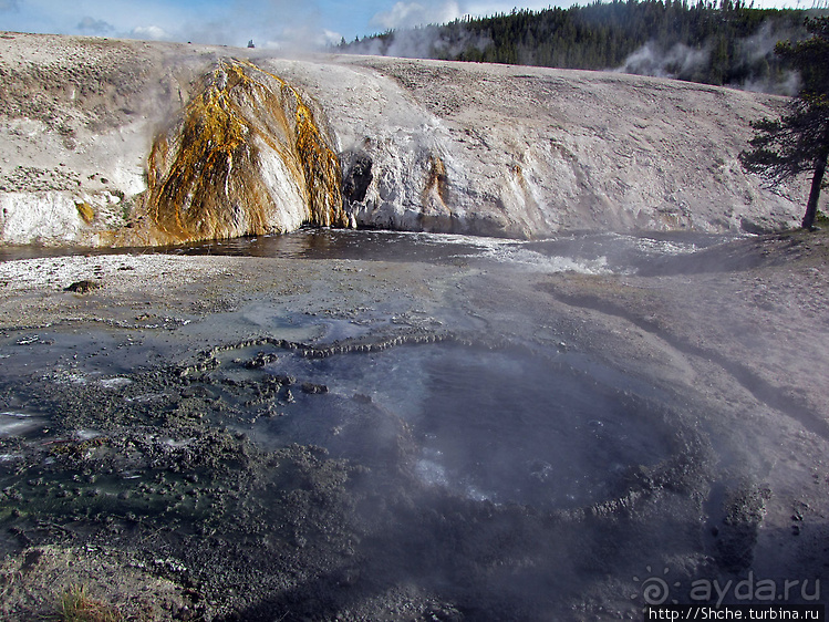 Гейзер "Старый служака" (Old faithful) и чудеса вокруг