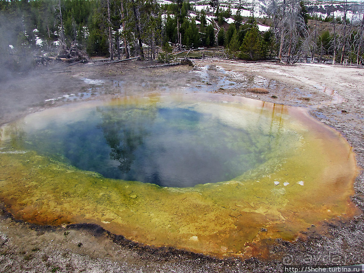 Гейзер "Старый служака" (Old faithful) и чудеса вокруг