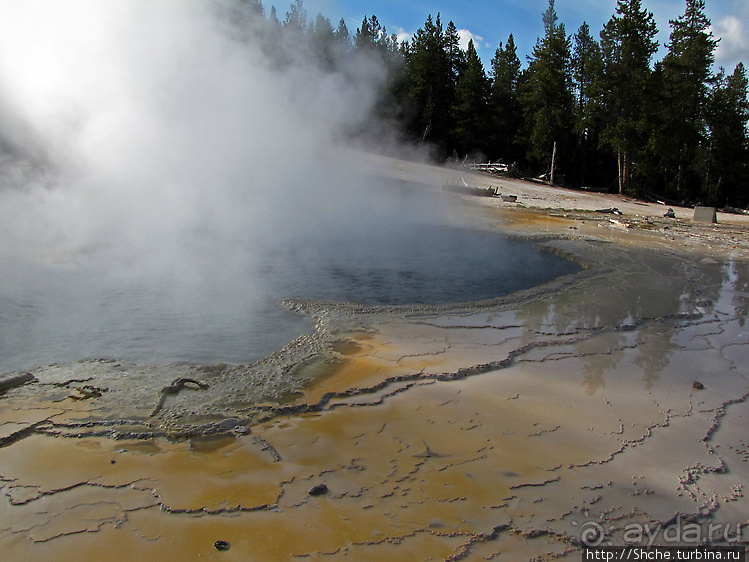 Гейзер "Старый служака" (Old faithful) и чудеса вокруг