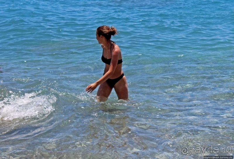 Почему Афродита вышла из воды именно на Кипре