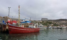 Пестрый Илулиссат, или по-нашему "Айсберг-таун"