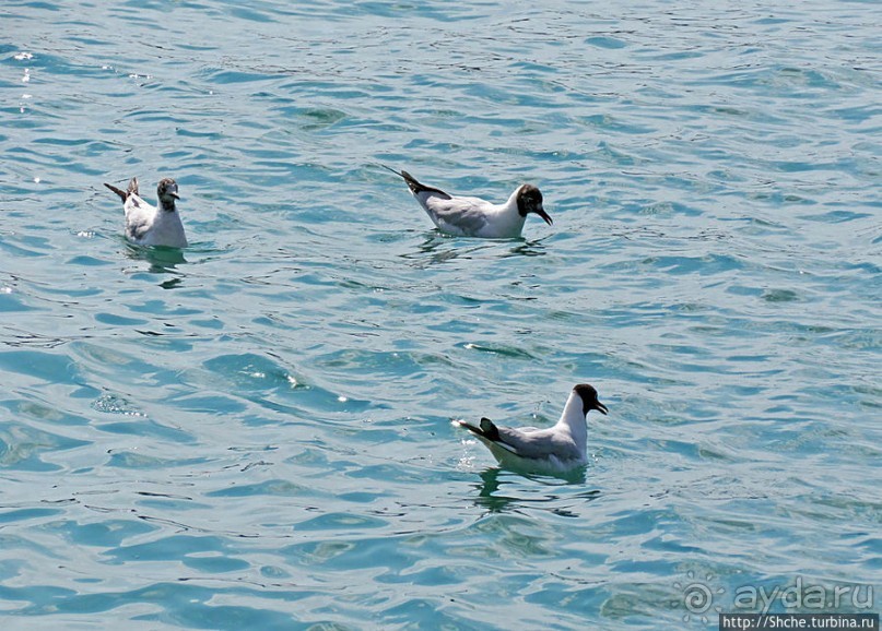 Морские ворота Греции — большой порт в Пирее