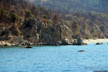 Паломничество в монашеское государство Святой Горы Афон