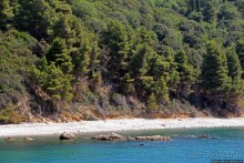 Паломничество в монашеское государство Святой Горы Афон