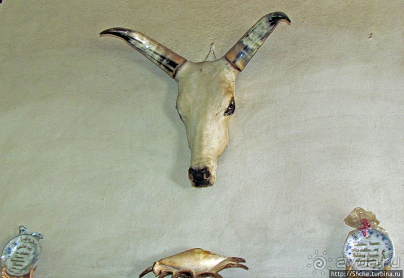 Отведали лягушечьи лапки во французском ресторане-отеле