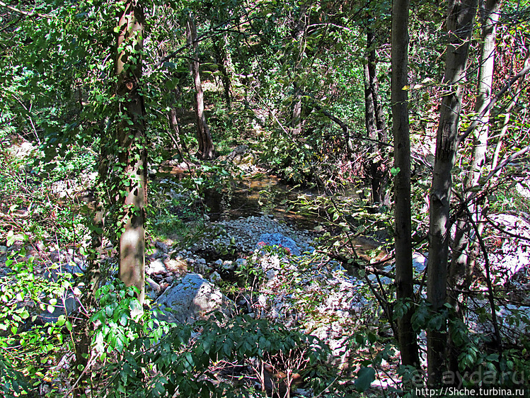 По каньонам рек Андака и Дряновска к пещере "Бачо Киро"