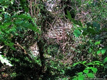 По каньонам рек Андака и Дряновска к пещере "Бачо Киро"