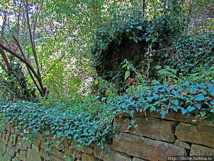 По каньонам рек Андака и Дряновска к пещере "Бачо Киро"
