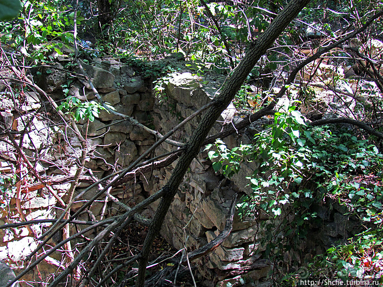По каньонам рек Андака и Дряновска к пещере "Бачо Киро"