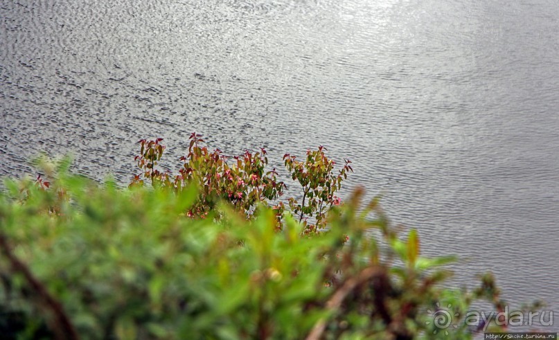 Лагуна Папальякта — живописное озеро в горах Эквадора
