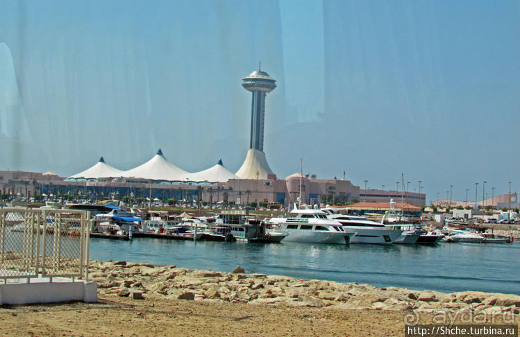 Однодневная автобусная экскурсия в Абу-Даби