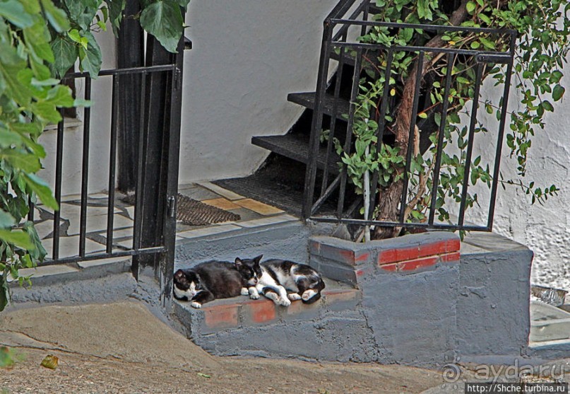 Пешком по Ксанти. Дополнение образа города