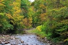 В гостях у Радуги. Вода мрамор точит